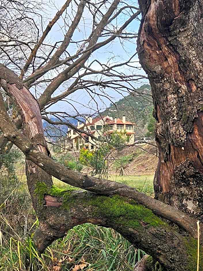 Muntenia Inn Apartments and Suites