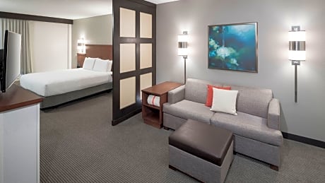Accessible King Bed/Roll-In Shower (with sofa bed)