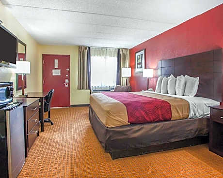 1 King Bed Nonsmoking