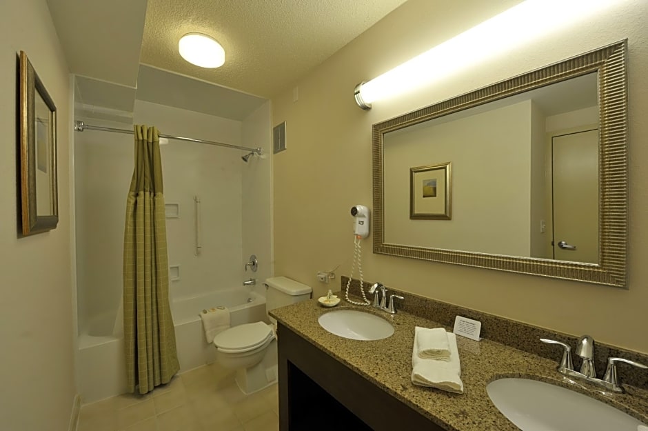 Holiday Inn Chicago West - Itasca