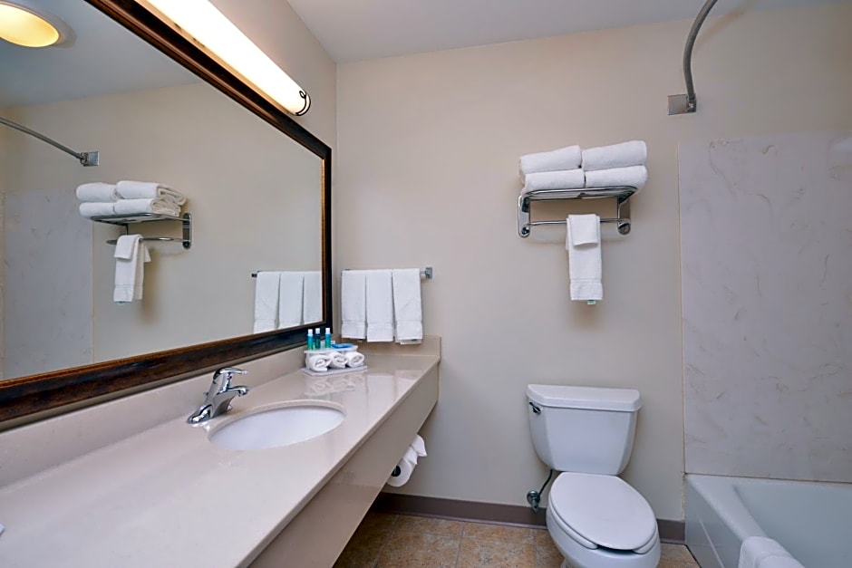 Holiday Inn Express Hotel & Suites Sioux Falls At Empire Mall By IHG