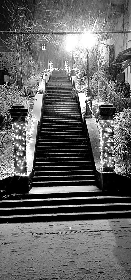 Hotel Roma