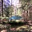 Baumzelt im Wald