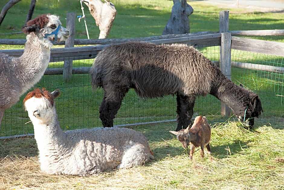 Dolomites Living Hotel Tirler
