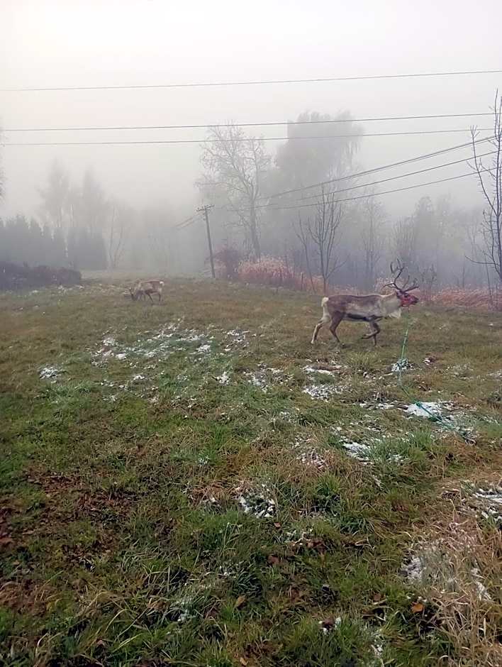 Zajazd Turystyczny Stara Gawęda
