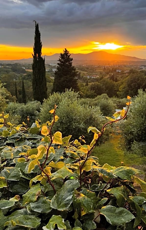 Agriturismo Cascina Cipressa