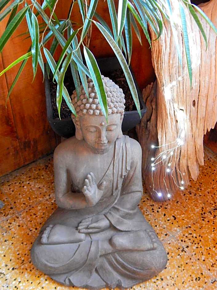 Pyrenées Emotions, Eco-responsables, Nature, Sports Aventures