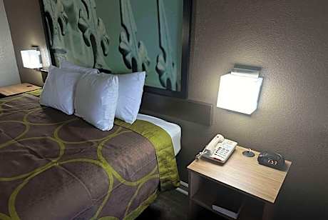 1 King Bed Studio Suite Smoking