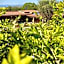 Hotel Boutique Matea Inn