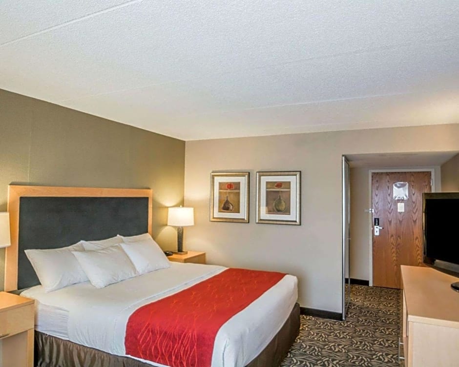 Comfort Inn - NYS Fairgrounds