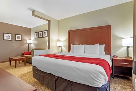 1 King Bed, Suite, Nonsmoking