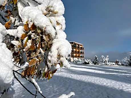 Hotel Lech Da Sompunt
