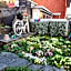 Viktoria Budget Hostel