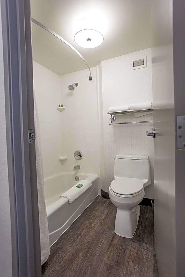 Holiday Inn Grand Rapids Downtown by IHG