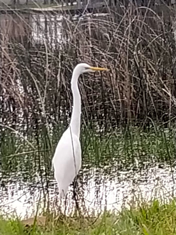 Bella Ciao Hospedaria
