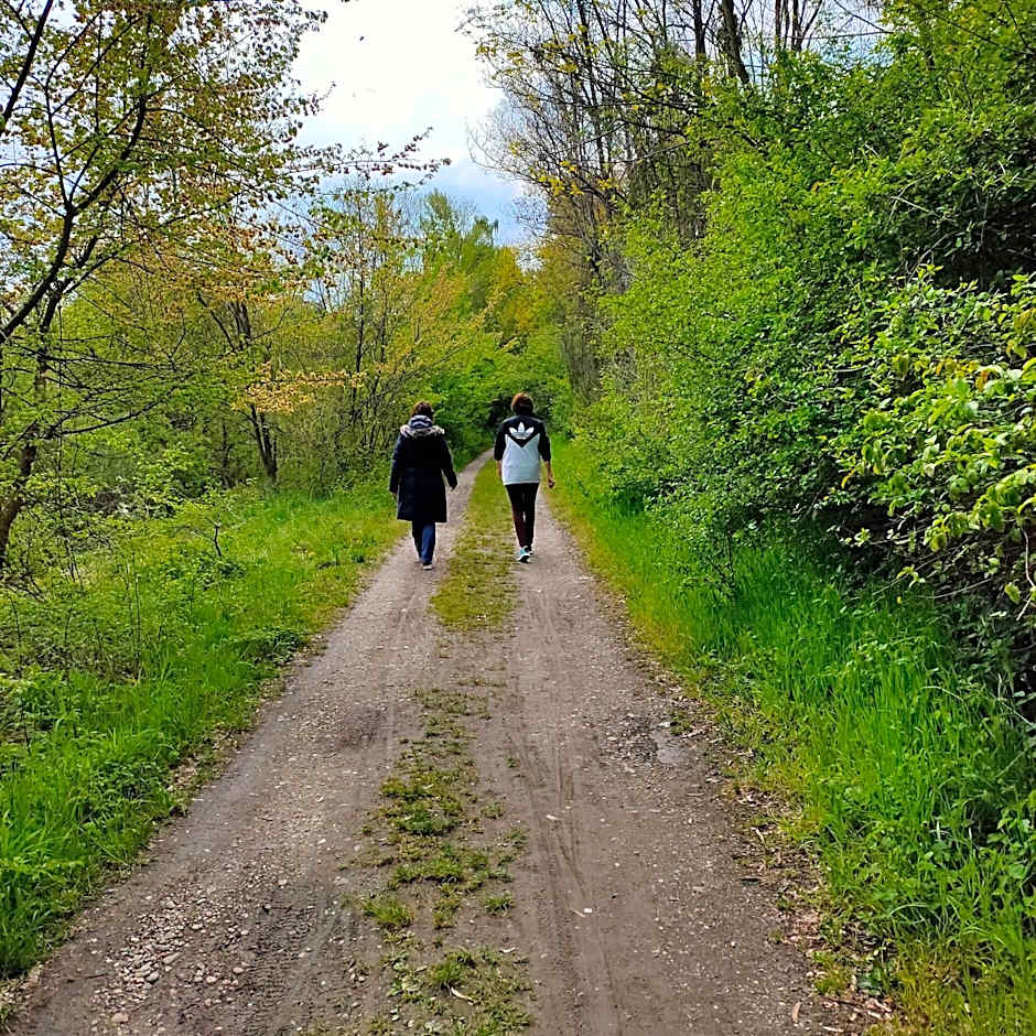 Hôtel Restaurant Oberlé