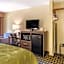 Quality Inn Duluth - Atlanta Northeast
