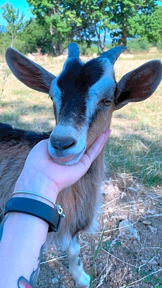 Terrae Eremis: Ristorante, Bar, B&B