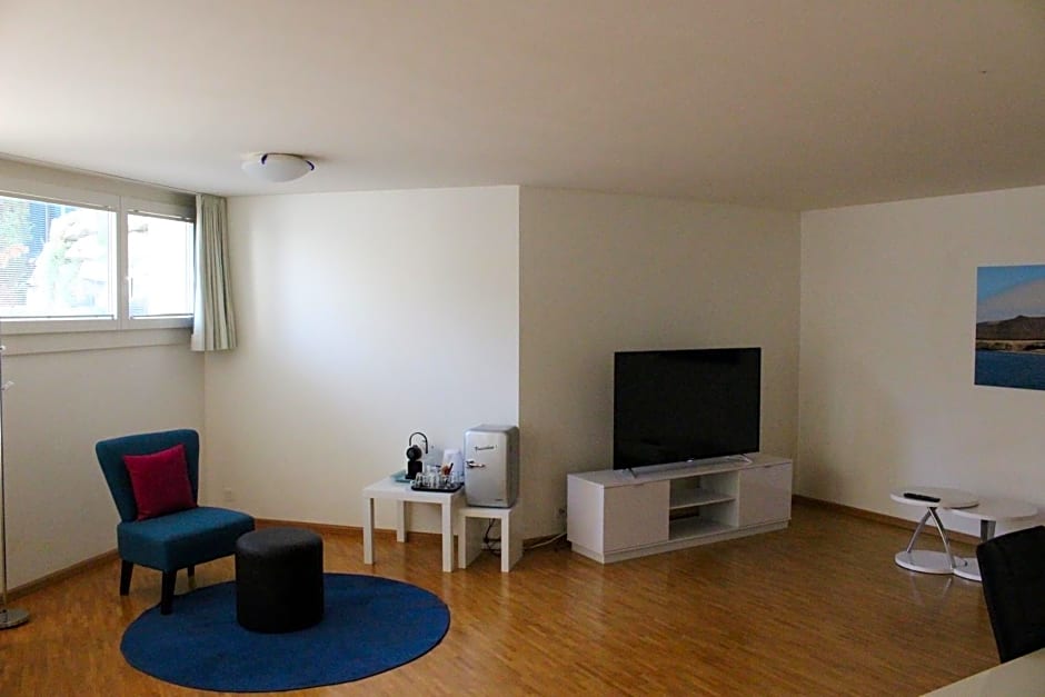 A Casa Fina- a modern room close to Basel