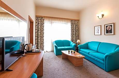 One-Bedroom Apartment with Balcony