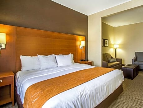 1 King Bed Non-Smoking