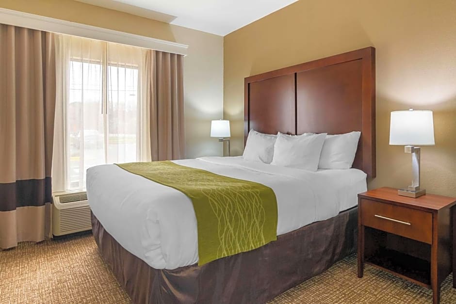 Comfort Inn & Suites Griffin
