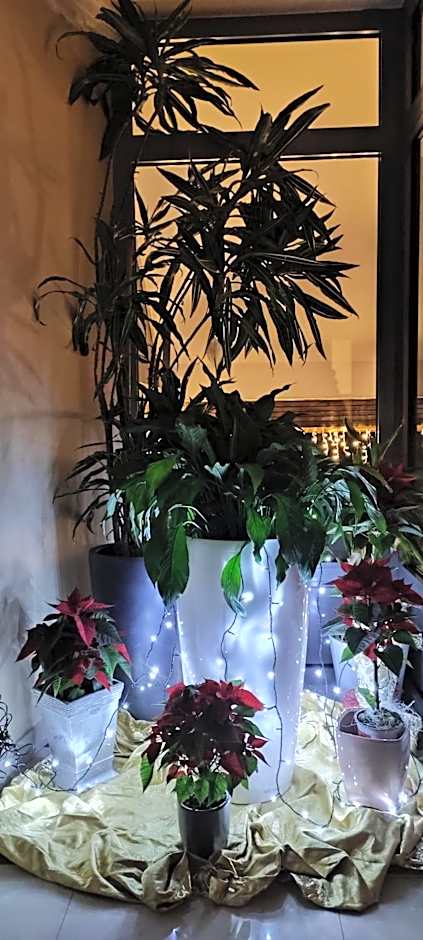 Sport Manca Garni Hotel