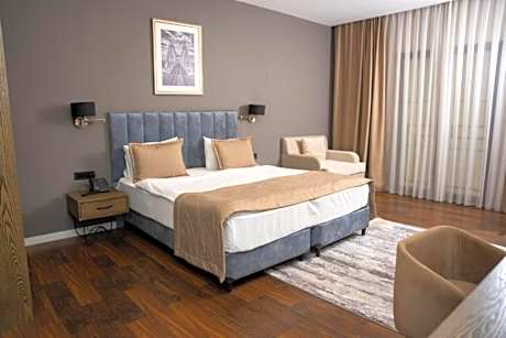 Deluxe double or twin room