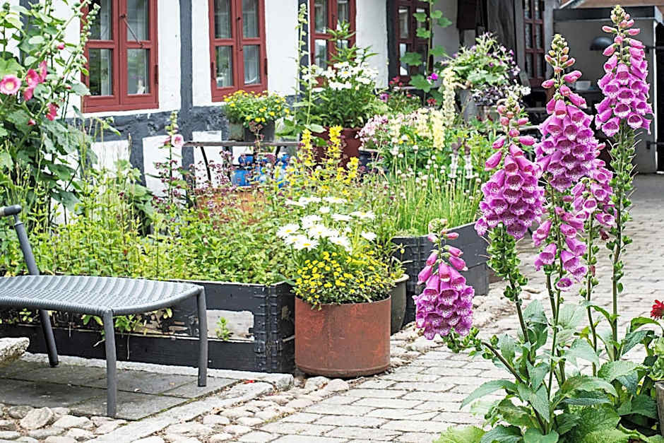 Grundfør bed and breakfast