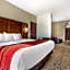 Comfort Suites Spring