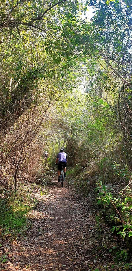 Quinta Pedra Dos Bicos