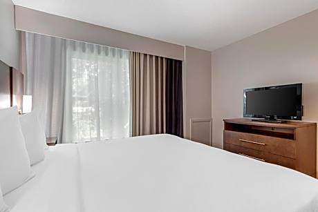 One-Bedroom Premium King Suite - Pet Friendly/Non-Smoking