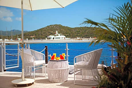 Superior Double Room with Terrace