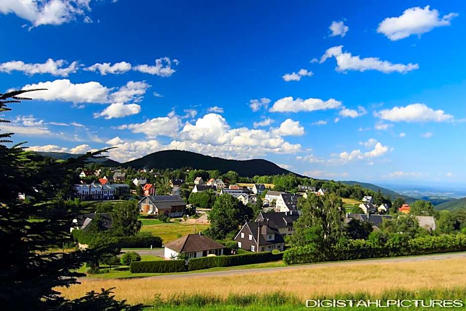 Hôtel Restaurant et Spa Au Tilleul