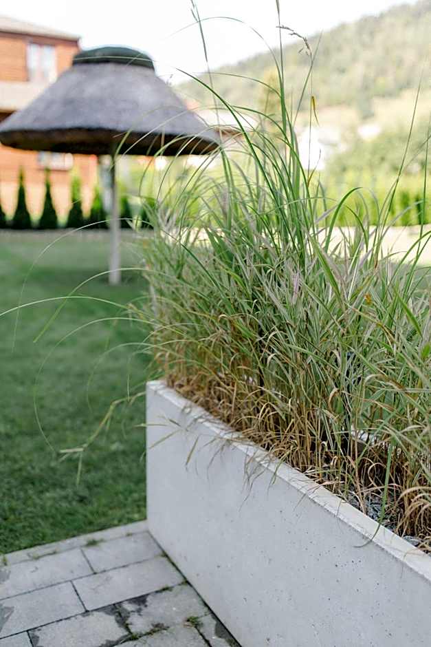 Villa Monica Apartamenty