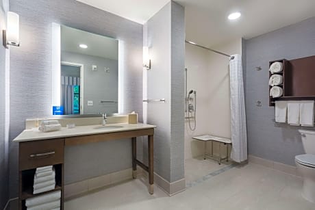 1Kng Mobilty/Hear Access Ri Shwr Studio Suite