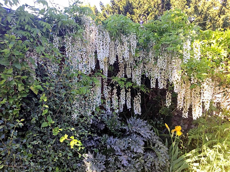 Les Chambres D'oriane