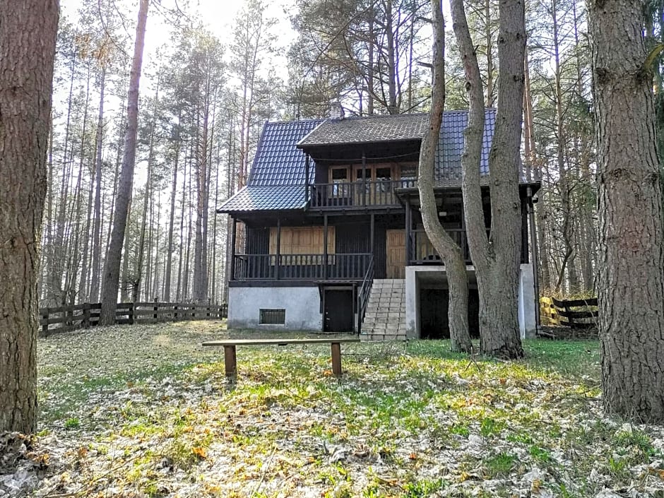 Warchały near Szczytno, RUSTIC LODGE at Lake