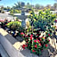 Park Avenue Inn & Suites