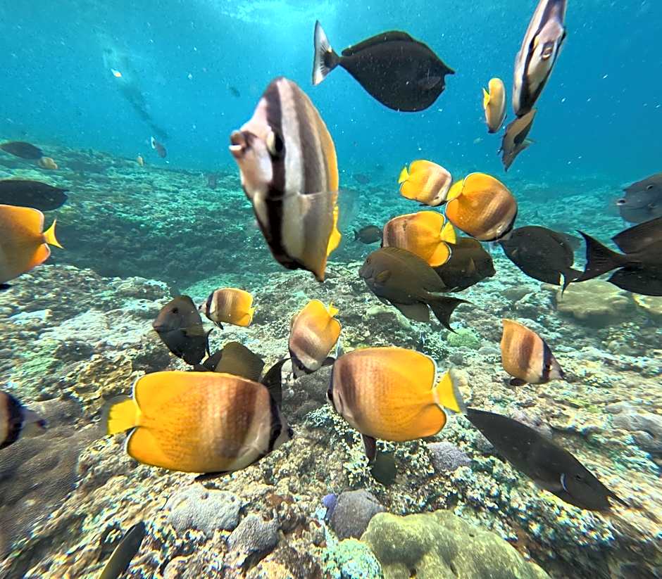 Sea Bridge Villa Ceningan