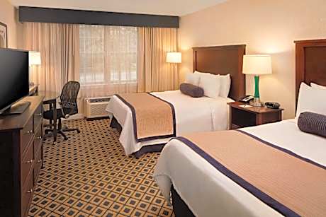 Standard Double Room with Two Double Beds