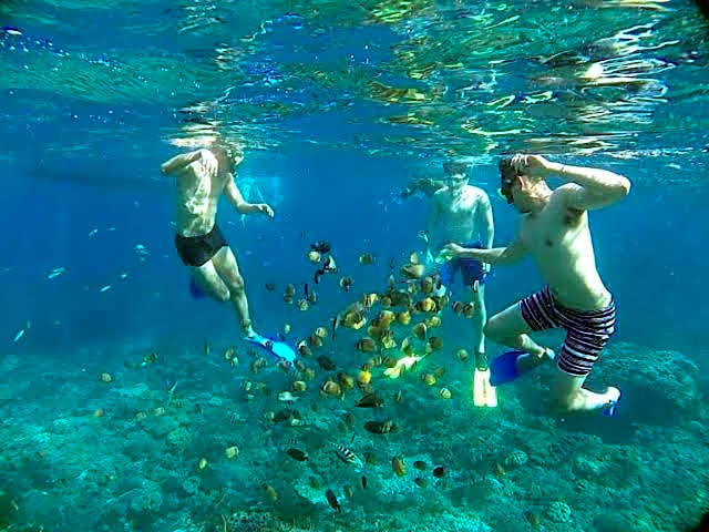 Sakti OceanView Nusa Penida