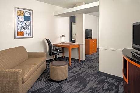 Executive Queen Suite with Sofa Bed