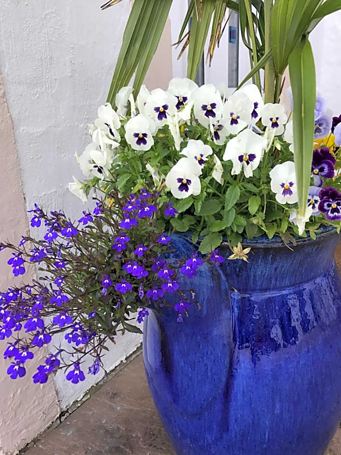 Crofthead Farm House