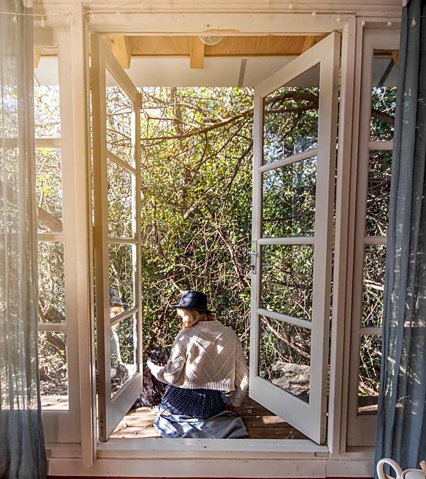 Blue House In The Woods- Amirim