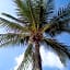Hollywood Beach Suites and Hotel
