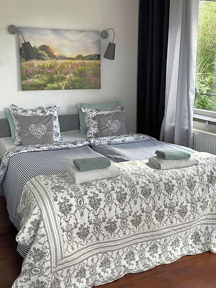 SURF HOUSE DREAMERS COAST