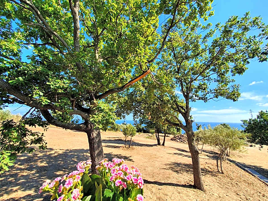Agriturismo Le Terre di Veneré