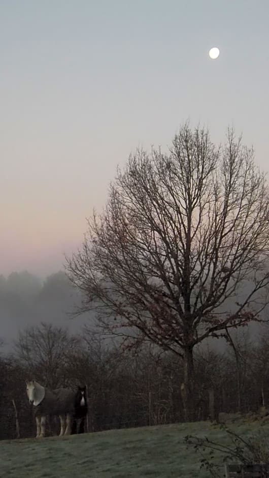 Chambres d'Hôtes Le Foursou