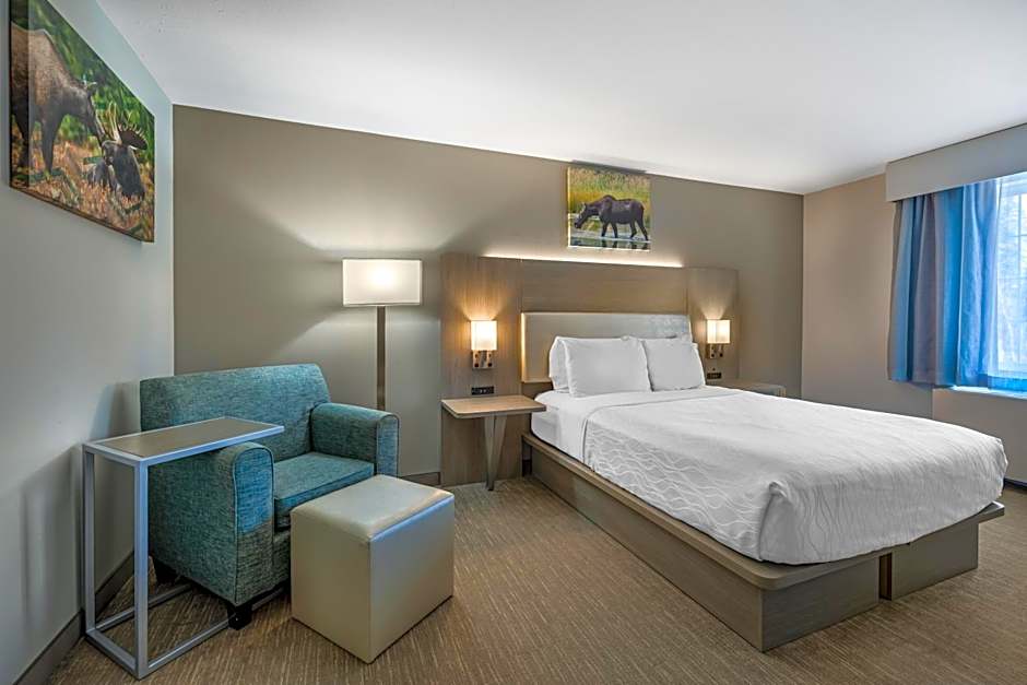 Best Western Plus Pioneer Park Inn